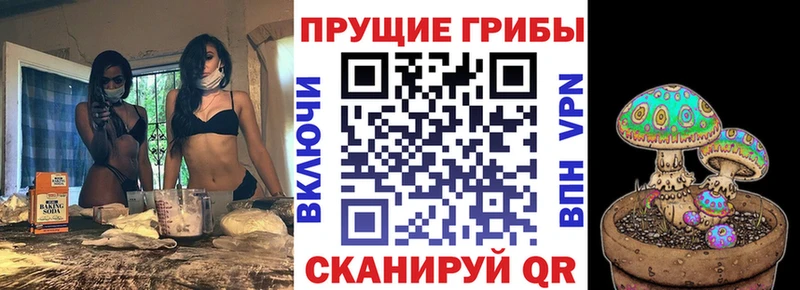 Купить где  Безенчук  Галлюциногенные грибы Psilocybe 
